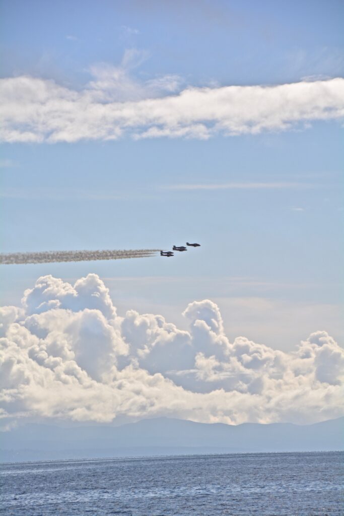 Snowbirds zooming by