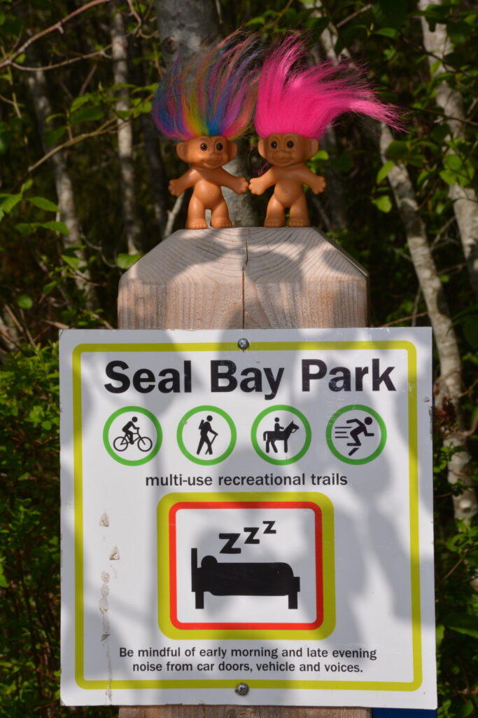 Seal Bay Park, buddies
